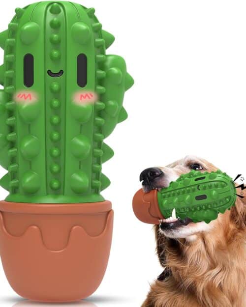 Dog Toys for Aggressive Chewers,Durable Dog Chew Toys for Medium Large Dogs Beef Favor,Cactus Dog Toothbrush Teeth Cleaning Toy Dog Toys to Keep Them Busy Christmas Birthday Gifts
